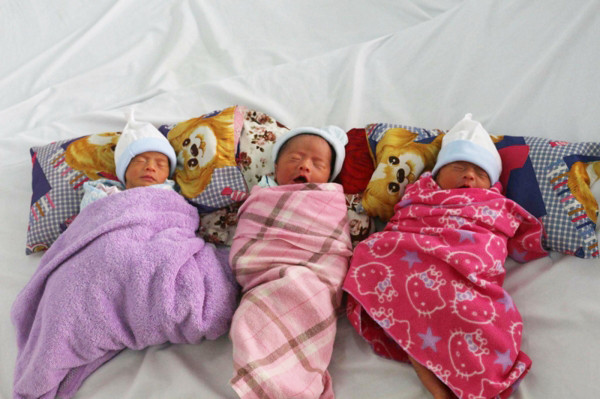  3 bé trai sinh non đang được nuôi ấp bằng phương pháp Kangaroo