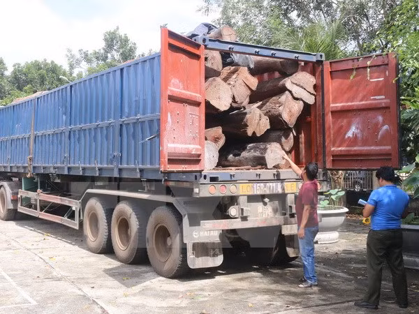 Xe container vật gỗ căm xe bị thu giữ.