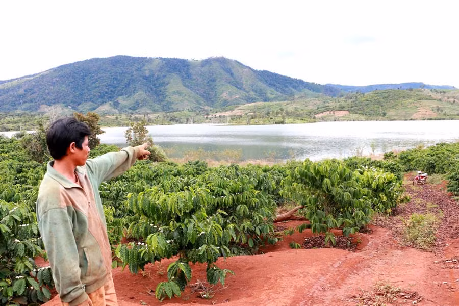 Ông Gyan chỉ cho P.V vị trí dự kiến xây dựng cầu treo bắc qua lòng hồ thủy điện. Ảnh: Q.T