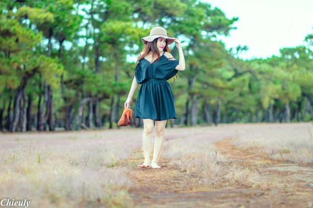  17 Người dân Gia Lai kéo nhau đi chụp ảnh với cỏ hồng.