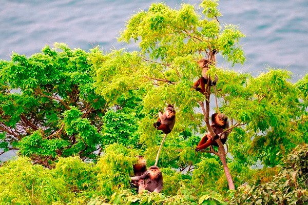 Những nỗ lực của thành phố và người dân trong bảo vệ môi trường đã được cộng đồng quốc tế ghi nhận. Những nỗ lực của thành phố và người dân trong bảo vệ môi trường đã được cộng đồng quốc tế ghi nhận.