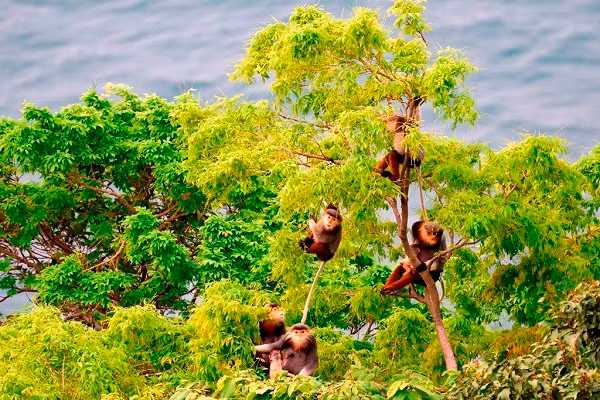 Những nỗ lực của thành phố và người dân trong bảo vệ môi trường đã được cộng đồng quốc tế ghi nhận.