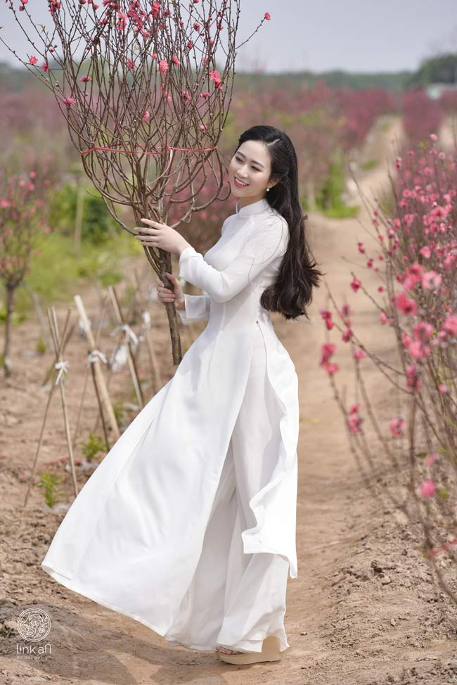 Đào, loa kèn, bằng lăng, sen, phượng, điệp, cúc họa mi... là những loài đẹp tượng trưng cho 4 mùa xuân, hạ, thu, đông. 