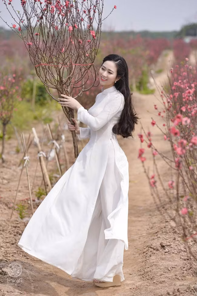 Đào, loa kèn, bằng lăng, sen, phượng, điệp, cúc họa mi... là những loài đẹp tượng trưng cho 4 mùa xuân, hạ, thu, đông. 