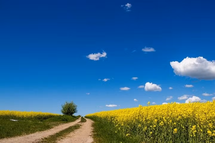 Thành phố Skåne, nằm ở cực nam Thụy Điển, với đất đai màu mỡ.