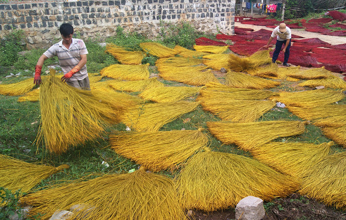 Làng nghề dệt chiếu cói Phú Tân hiện có hơn 25 ha trồng cói sẵn có tại địa phương. Nhờ nguồn hàng ổn định, làng nghề nhiều năm nay vẫn phát triển mạnh, giúp giải quyết việc làm cho hơn 600 lao động trong vùng.  Làng nghề dệt chiếu cói Phú Tân hiện có hơn 25 ha trồng cói sẵn có tại địa phương. Nhờ nguồn hàng ổn định, làng nghề nhiều năm nay vẫn phát triển mạnh, giúp giải quyết việc làm cho hơn 600 lao động trong vùng.