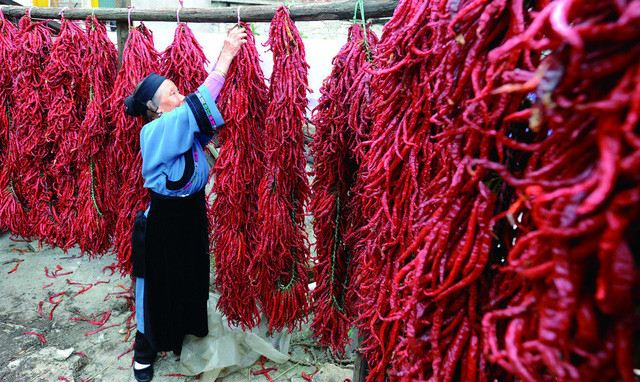  Người dân ở thị trấn Xiazi ăn ớt như ăn cơm uống nước hàng ngày