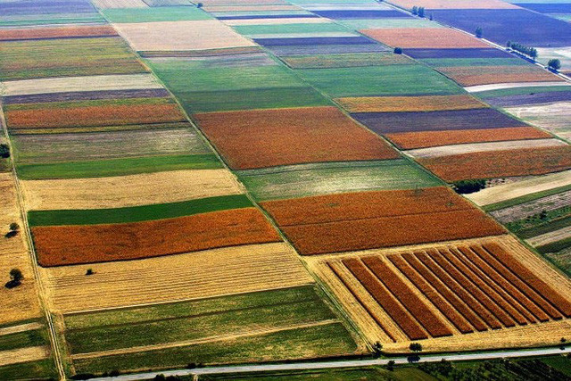  Những cánh đồng trải dài đẹp mắt ở vùng Erdut.