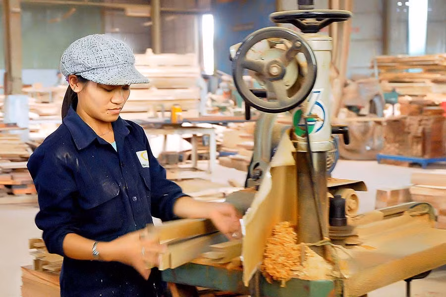 Công nhân làm việc tại Nhà máy Chế biến gỗ Đức Long-Gia Lai. Ảnh: Đ.T