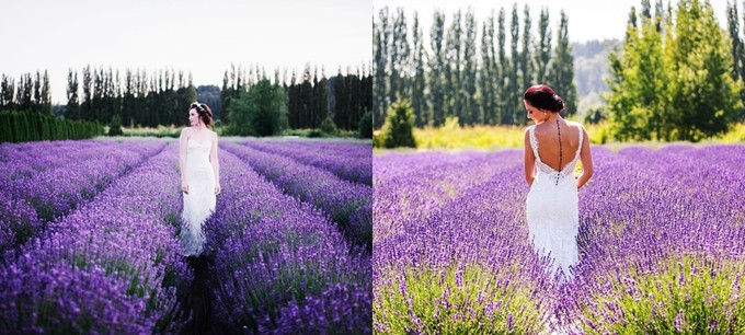 Khung cảnh nhuộm sắc tím lãng mạn với hương thơm dịu nhẹ thích hợp để cô dâu tạo dáng. Nếu chỉ chụp ảnh cưới hay lưu làm kỷ niệm, bạn phải trả phí dao động từ 150 USD đến 250 USD một giờ, không giới hạn thời gian. 