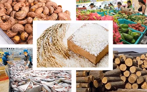 Nửa đầu năm 2018, nhiều mặt hàng có giá trị kim ngạch xuất khẩu tăng trưởng cao, gồm: gạo, rau quả, hạt điều, gỗ, thủy sản...