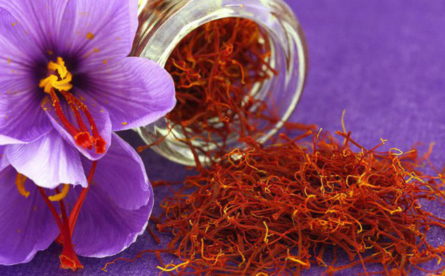 Hiện nay, một cân nhụy nghệ tây rơi vào khoảng 10.000 USD, tương đương 230 triệu đồng.