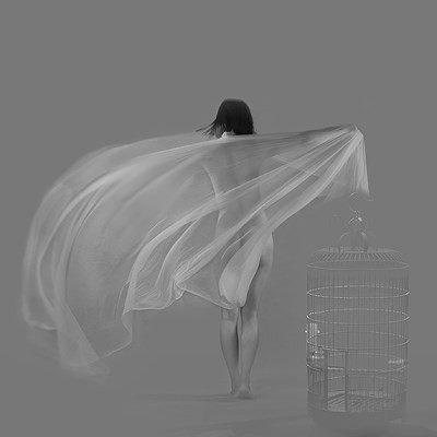 Triển lãm sẽ mở cửa vào ngày 20/7/2018 tại Nhà triển lãm 29 Hàng Bài, Hà Nội. Ảnh: Lê Quang Châu