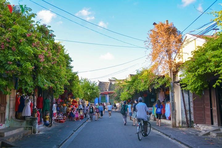 Còn gì tuyệt vời hơn tản bộ qua những con đường nhỏ, nơi những vạt hoa vương lên tóc, thưởng thức những món ăn dân dã, nghe câu ca bài chòi – một di sản nữa được người dân nơi đây kế thừa.