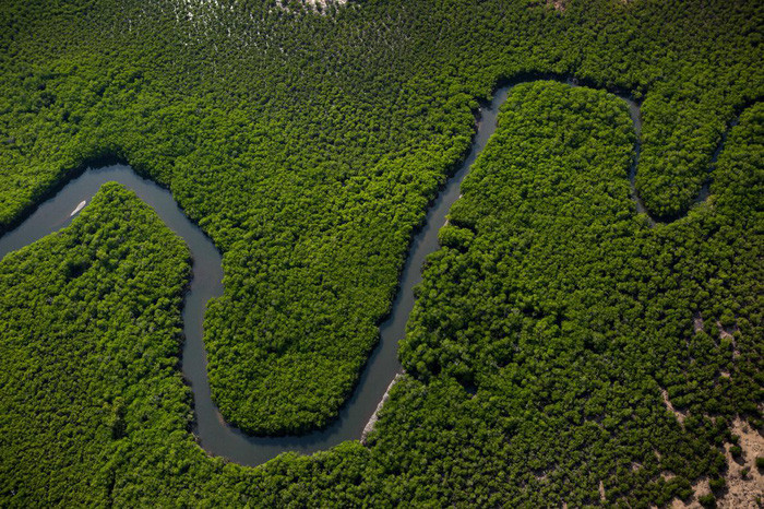 Dòng sông uốn lượn chảy xuyên qua quần đảo Tiwi được chụp từ trực thăng - Ảnh: DAVID MAURICE SMITH, OCULI/NG