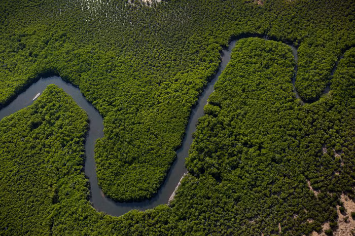 Dòng sông uốn lượn chảy xuyên qua quần đảo Tiwi được chụp từ trực thăng - Ảnh: DAVID MAURICE SMITH, OCULI/NG