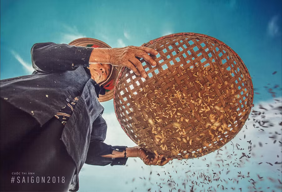 Người nông dân Việt luôn gắn bó với cây lúa, hạt thóc. Vẻ đẹp của công việc nhà nông được tác giả Trần Tuấn Anh chụp lại trong bức ảnh 