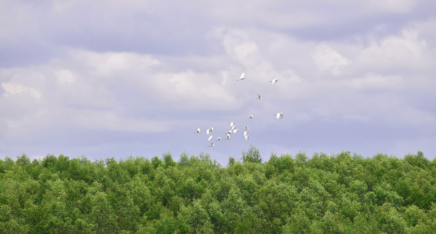 Sau đó chúng tôi chạy qua hồ đập thủy điện An Khê.