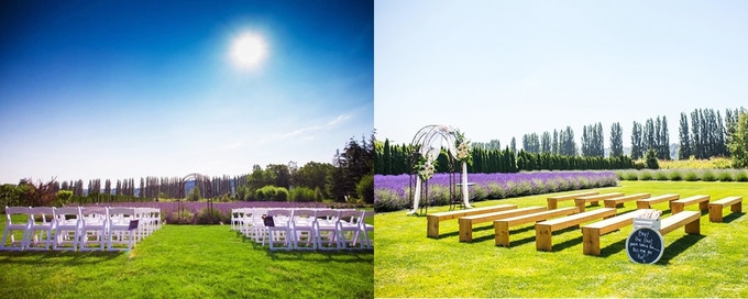 Chi phí tổ chức đám cưới trong mùa hoa lavender khoảng 4.900 USD (từ tháng 6 đến tháng tám), tầm 3.900 USD (tháng chín đến tháng 5 năm sau). Hôn trường tại Woodinville Lavender được thiết kế khá đơn giản nhưng hài hòa, gần gũi. 