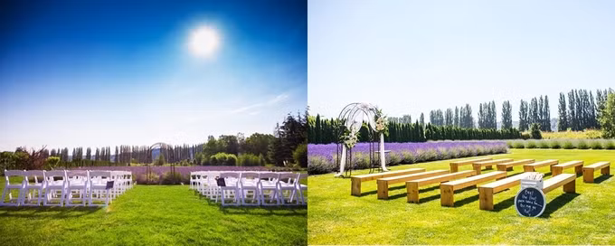 Chi phí tổ chức đám cưới trong mùa hoa lavender khoảng 4.900 USD (từ tháng 6 đến tháng tám), tầm 3.900 USD (tháng chín đến tháng 5 năm sau). Hôn trường tại Woodinville Lavender được thiết kế khá đơn giản nhưng hài hòa, gần gũi. 