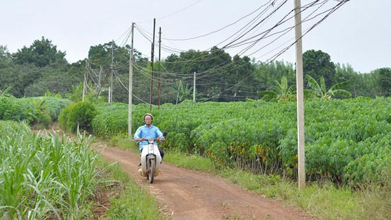 Khu vực xã Suối Trầu, nơi sẽ xây dựng sân bay, vẫn là đồng quê yên ả, chưa có gì thay đổi