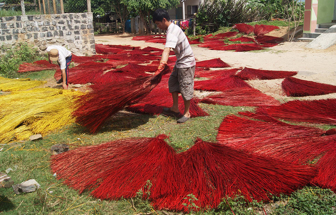 Phơi cói cần nắng tốt thì màu mới được tươi, đẹp. Phơi cói cần nắng tốt thì màu mới được tươi, đẹp.