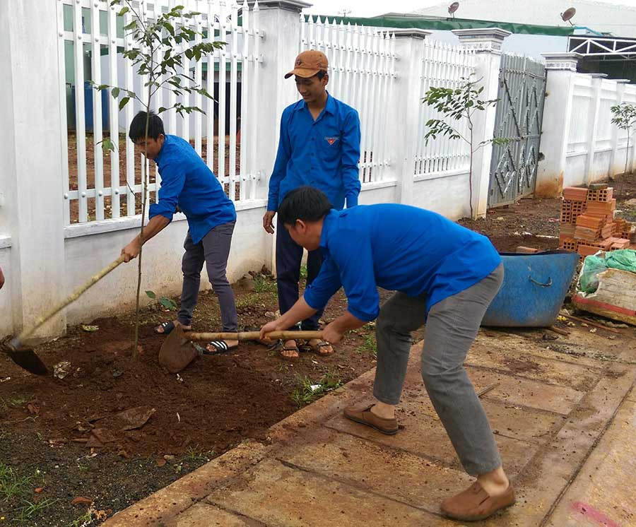 Các đoàn viên thanh niên tham gia trồng cây. Ảnh: P.N