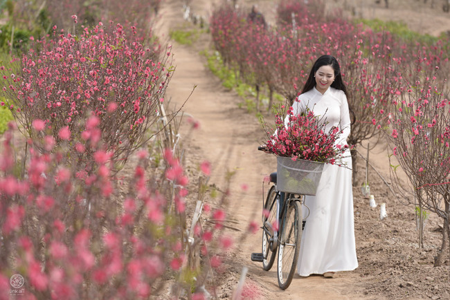  Và rồi, mùa xuân lại đến và các cô nàng lại mải miết khoe sắc bên đào xuân. 