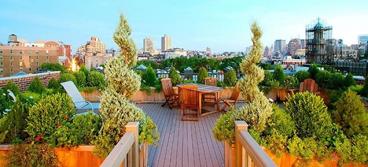 Vườn trên sân thượng phong cách độc đáo.