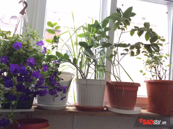 Chị Tuyết và chồng là người Hà Nội, hiện đang sinh sống ở thành phố Sofia, Bulgaria. Hai anh chị đã sống nơi xứ người được 22 năm.