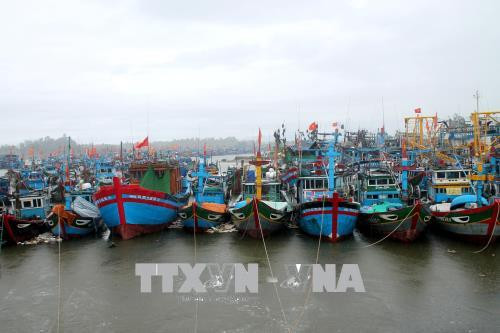 Tàu thuyền neo đậu tại cảng cá Tịnh Kỳ, thành phố Quảng Ngãi. Tàu thuyền neo đậu tại cảng cá Tịnh Kỳ, thành phố Quảng Ngãi.