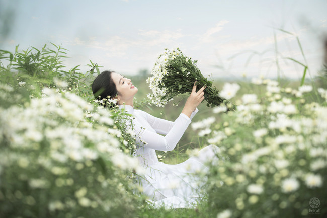  Cúc họa mi - loài hoa báo đông cũng có sức hút đặc biệt đối với các cô gái. 