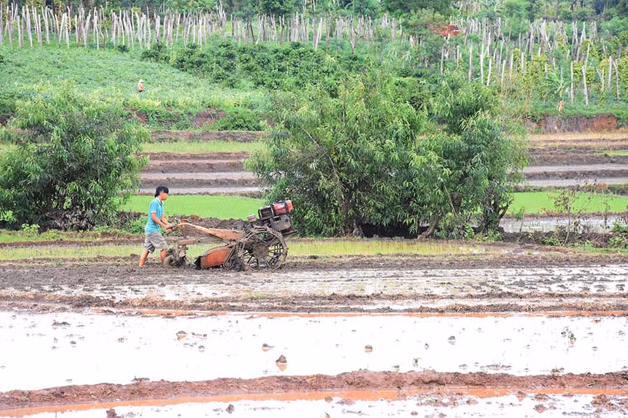 Gia đình anh Nay Phú-thôn Tao Ôr, xã Ia Rong làm đất chuẩn bị cho vụ mùa 2018. Ảnh: L.N