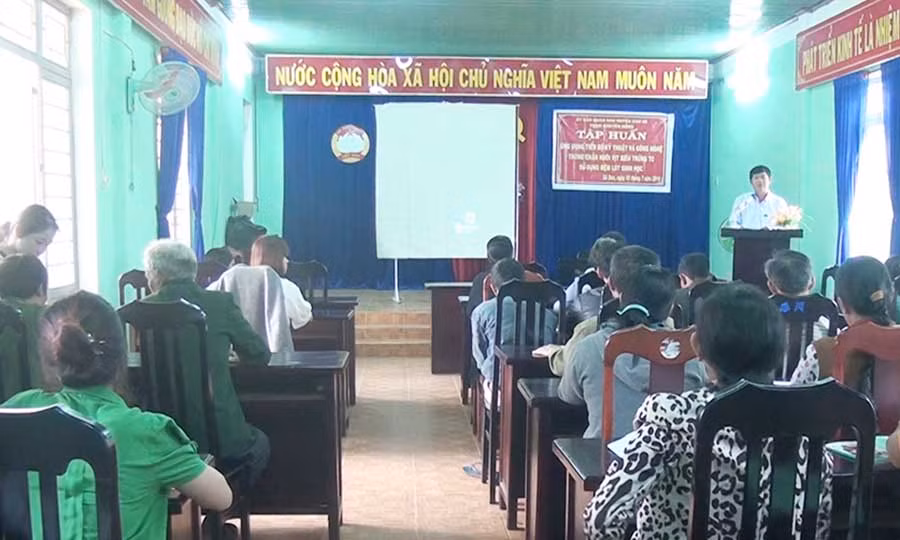  Khai mạc lớp tập huấn chăn nuôi vịt siêu trứng TC. Ảnh: Hoàng Viên