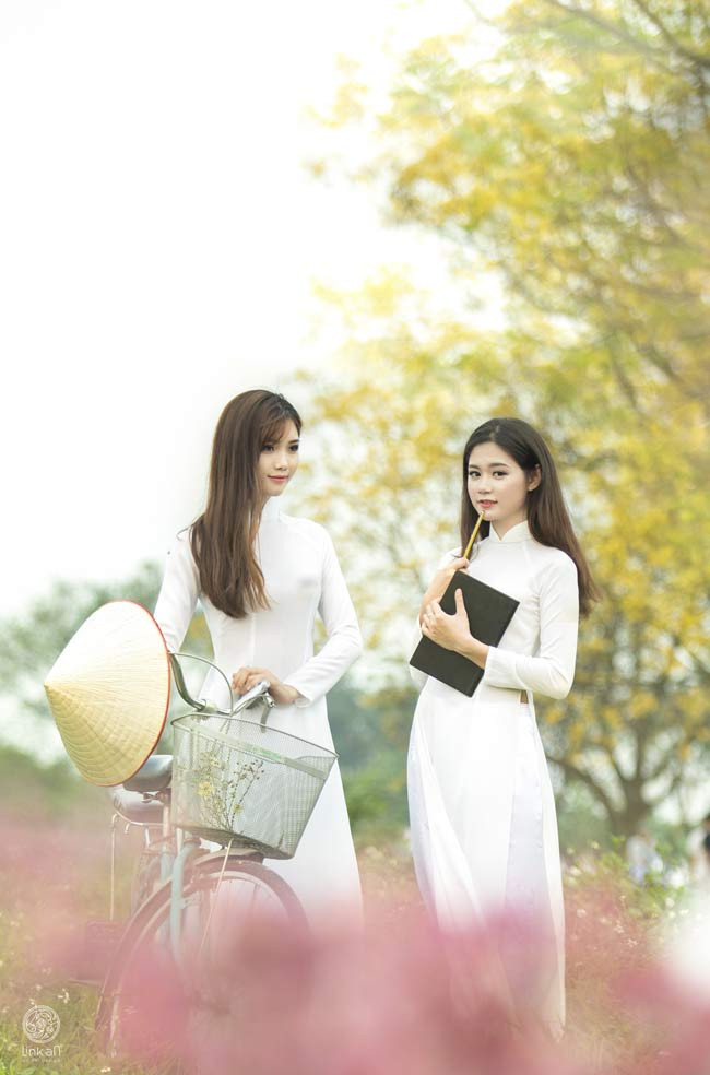 Loài hoa báo hiệu mùa thi, mùa của chia ly thầy cô và bè bạn. 