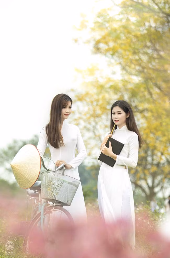 Loài hoa báo hiệu mùa thi, mùa của chia ly thầy cô và bè bạn. 