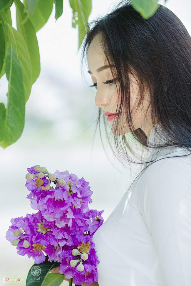 Tháng 5, tháng 6 là lúc các cô nàng mơ màng bên hoa bằng lăng. 