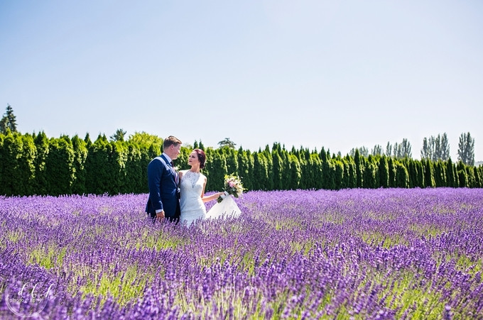  Nhắc đến hoa oải hương (lavender), người ta thường nghĩ đến Provence - thành phố thơ mộng của vùng đông nam nước Pháp - nơi còn lưu truyền sự tích về loài hoa này đến tận ngày nay. Thế nhưng oải hương không chỉ có ở Pháp mà còn được trồng nhiều ở Australia, Italy, Hà Lan... Tại Mỹ, cánh đồng hoa tím ngắt mang tên Woodinville Lavender là một trong những địa điểm thu hút khách du lịch, các cặp tình nhân và uyên ương mùa cưới. Trang trại tọa lạc tại Woodinville Wine Country, nép mình bên thung lũng Sammamish - thuộc thành phố Woodinville, quận King, tiểu bang Washington.
