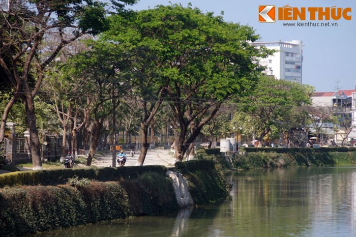 Còn những ngày tiết trời mát mẻ, thuồng luồng nằm im trong hang động, dòng sông không bị khuấy đảo, nước sông An Cựu trở nên trong vắt.