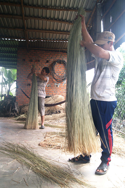 Để làm ra một chiếc chiếu cói cần trải qua nhiều công đoạn. Cói thu hoạch rồi đem phơi, bó lại từng bó rồi mới đem nhuộm. Sau khi nhuộm tiếp tục phơi, trước khi dệt. Nhuộm cói là công đoạn quan trọng đòi hỏi người thợ phải có tay nghề và kinh nghiệm. Để làm ra một chiếc chiếu cói cần trải qua nhiều công đoạn. Cói thu hoạch rồi đem phơi, bó lại từng bó rồi mới đem nhuộm. Sau khi nhuộm tiếp tục phơi, trước khi dệt. Nhuộm cói là công đoạn quan trọng đòi hỏi người thợ phải có tay nghề và kinh nghiệm.