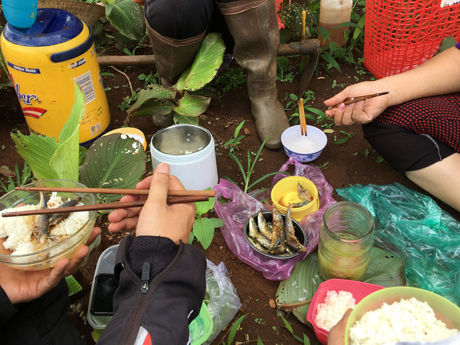 Chúng tôi may mắn được bà con mời bữa cơm trưa.