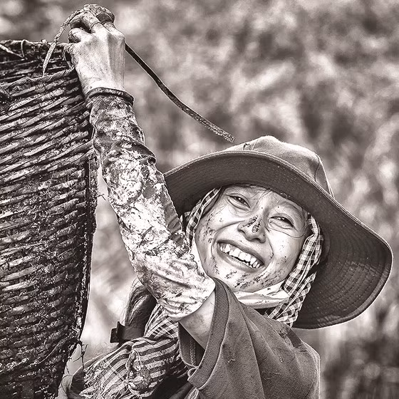  Chiến sĩ tình nguyện Mùa hè xanh (TPHCM)