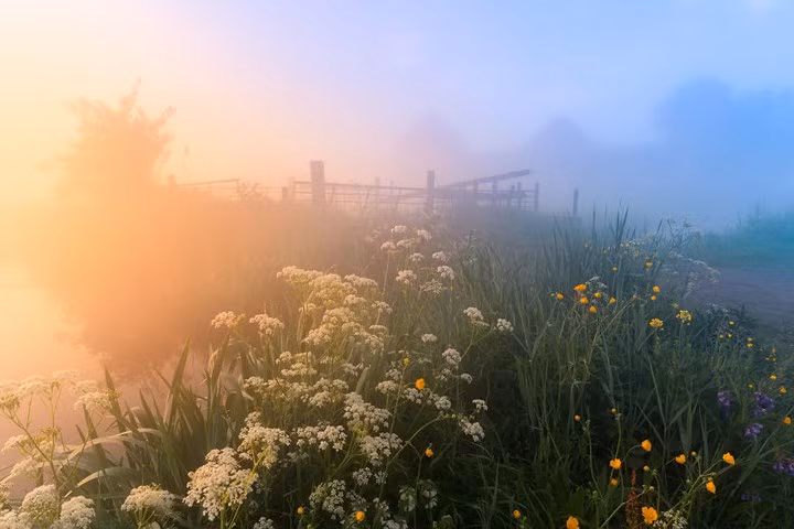 Đây là cảnh thực hay tiên cảnh?