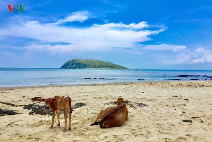  Trước khi tới Đèo Ngang, hãy ghé thăm Vũng Chùa, Đảo Yến, là nơi nước biển trong sạch, bãi cát dài trắng tinh.