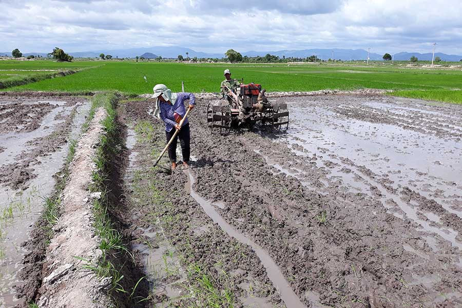  Nhiều diện tích đất lúa rẫy ở xã Ia Kdăm được chuyển sang làm lúa thủy lợi khi dự án giảm nghèo đầu tư kênh mương. Ảnh: Mai Linh