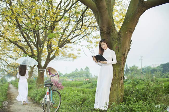 Nữ sinh diện áo dài trắng mơ màng bên trang sách là cảnh tượng khiến người ta say lòng. 