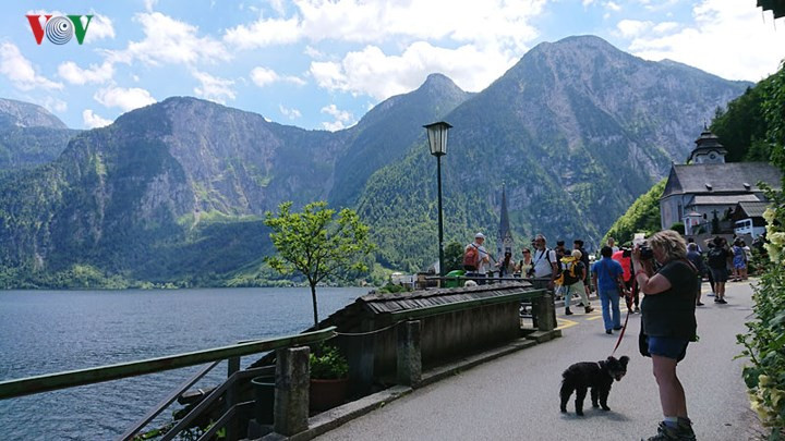 Phong cảnh thanh bình, giữ nhiều nét nguyên sơ đang hấp dẫn du khách đi châu Âu đến nơi đây.