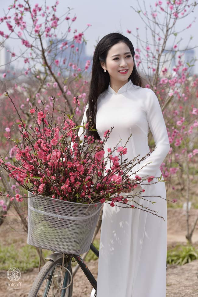 Những cô gái diện áo dài trắng, xõa tóc bồng bềnh, khoe sắc bên vườn đào xuân khoe vẻ đẹp xinh tươi, mơn mởn... 