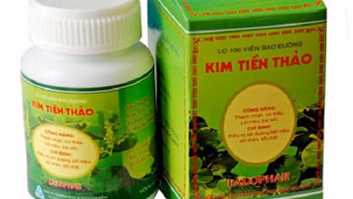 Thuốc Kim tiền thảo được sử dụng khá phổ biến