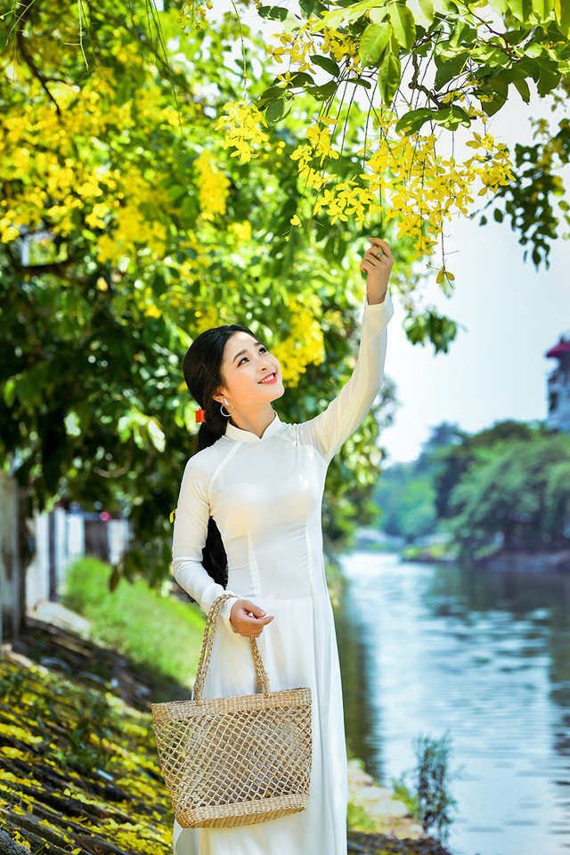 Vẻ đẹp của cô gái xứ Nghệ như tỏa sáng rực rỡ hơn dưới sắc vàng của hoa hoàng yến.